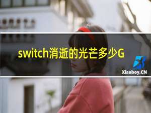 switch消逝的光芒多少G