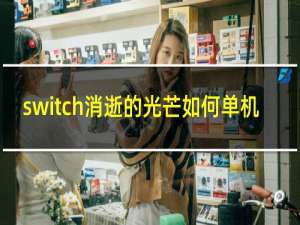 switch消逝的光芒如何单机