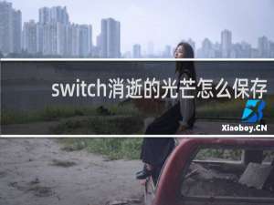 switch消逝的光芒怎么保存