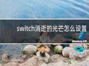 switch消逝的光芒怎么设置