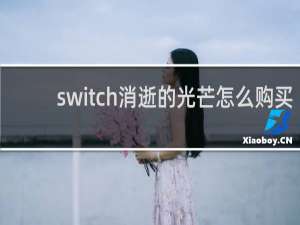 switch消逝的光芒怎么购买