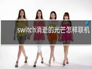 switch消逝的光芒怎样联机