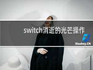 switch消逝的光芒操作