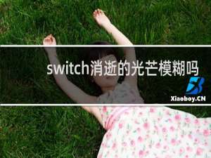 switch消逝的光芒模糊吗