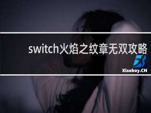switch火焰之纹章无双攻略