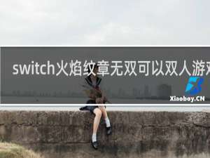switch火焰纹章无双可以双人游戏吗