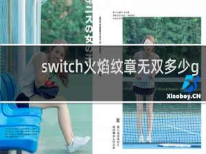 switch火焰纹章无双多少g
