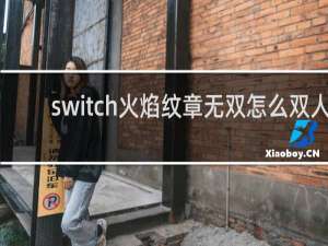 switch火焰纹章无双怎么双人