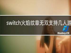 switch火焰纹章无双支持几人游戏