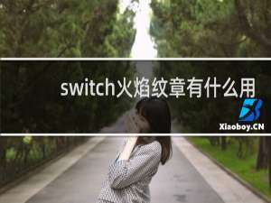 switch火焰纹章有什么用