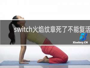 switch火焰纹章死了不能复活
