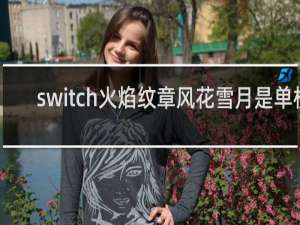 switch火焰纹章风花雪月是单机