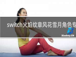 switch火焰纹章风花雪月角色专属