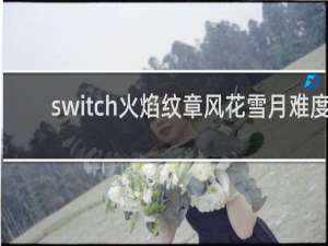 switch火焰纹章风花雪月难度