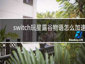 switch玩星露谷物语怎么加速
