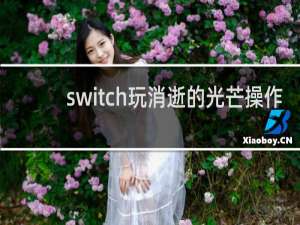 switch玩消逝的光芒操作