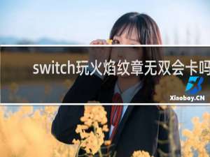 switch玩火焰纹章无双会卡吗