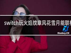 switch玩火焰纹章风花雪月能联机吗