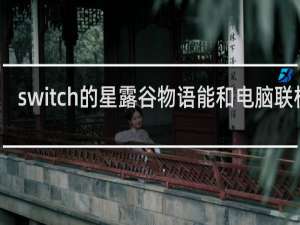 switch的星露谷物语能和电脑联机吗