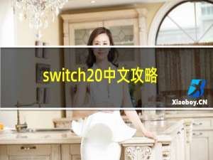 switch 中文攻略
