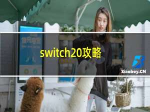 switch 攻略