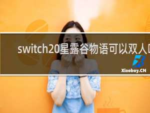 switch 星露谷物语可以双人吗