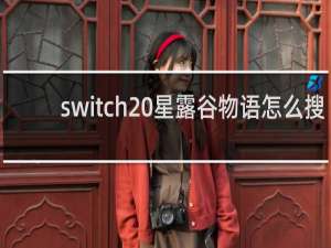 switch 星露谷物语怎么搜