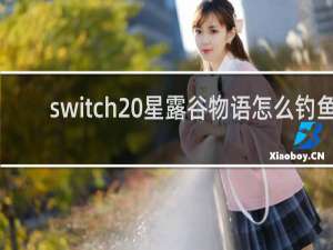 switch 星露谷物语怎么钓鱼