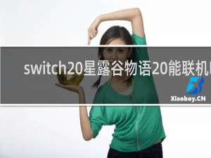 switch 星露谷物语 能联机吗