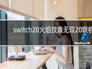 switch 火焰纹章无双 联机