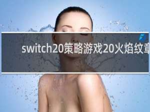 switch 策略游戏 火焰纹章