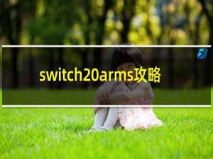 switch arms攻略