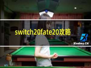 switch fate 攻略
