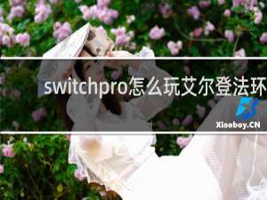 switchpro怎么玩艾尔登法环