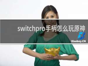 switchpro手柄怎么玩原神