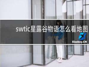 swtic星露谷物语怎么看地图