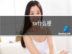 sx什么梗