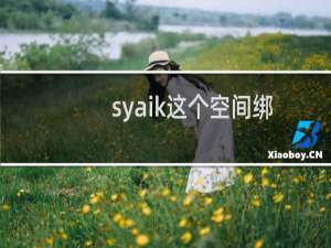 syaik这个空间绑定了syaik.com，为什么还不可以打