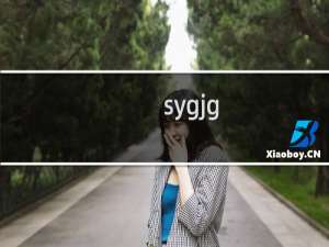 sygjg.com 网站怎么大打不开、麻烦处理一下