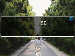 sz-ydkj.cn域名备案通过无法帮定主机