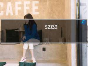 szea.net 为什么域名列给里面没有了？如何续费？
