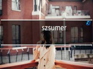 szsumer.com重新推送百度云加速