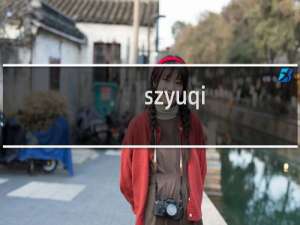 szyuqi.com刚解析过来打不开