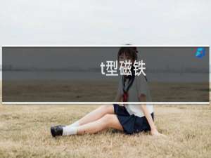 t型磁铁