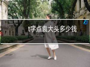 t字点袁大头多少钱