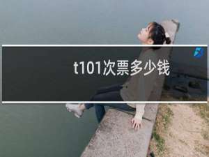 t101次票多少钱