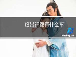 t3出行都有什么车