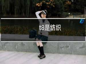 t8是纺织