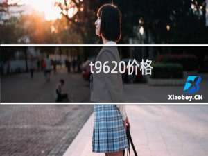 t96 价格