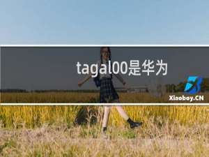 tag-al00是华为什么型号手机